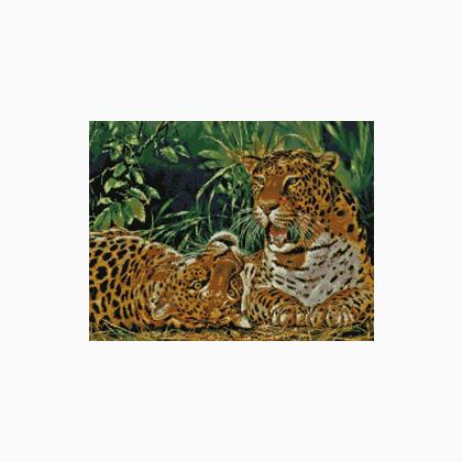Playful Leopards
