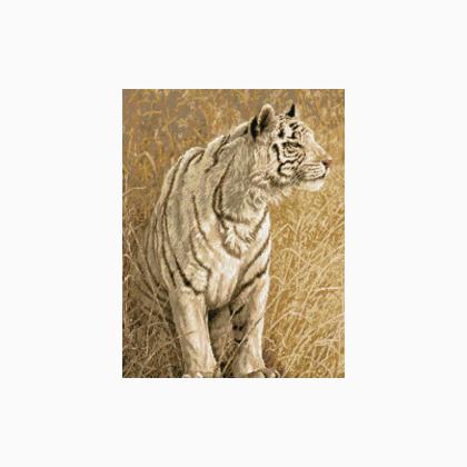 White Light (Tiger)