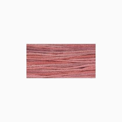 WDW Holiday Collection 4153 Berry Splash
