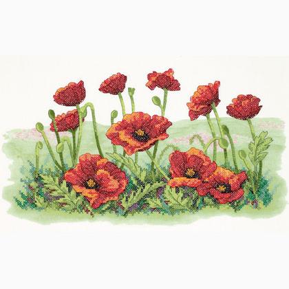 Field of Poppies