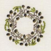 Red Alder