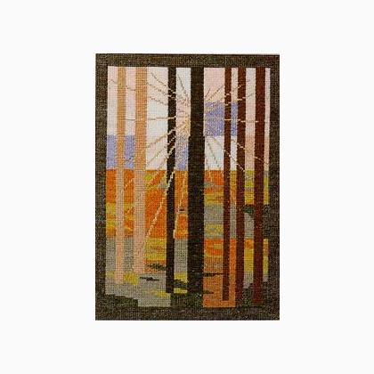 Autumn Forest