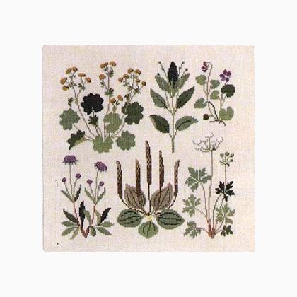 Wild Flowers 1