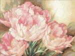 Tulip Trio