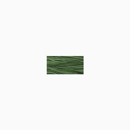 WDW 2168 Monkey Grass