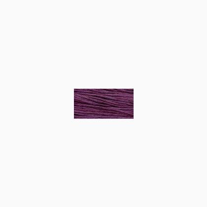 WDW 1343 Boysenberry