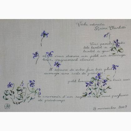Violette odorante Reine Charlotte