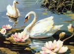 The Swans
