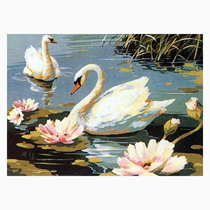 The Swans