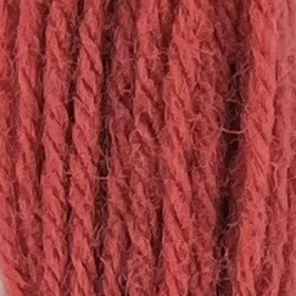 Crewel Wool - Bright Terra Cotta 224