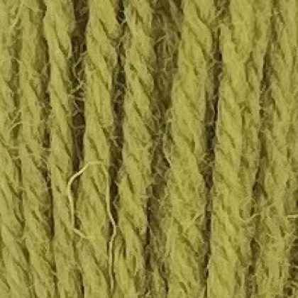 Tapestry Wool Hank - Olive Green 241