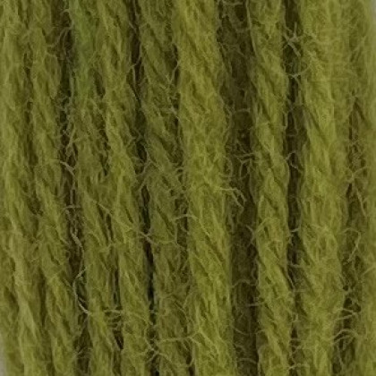 Tapestry Wool Hank - Grass Green 252