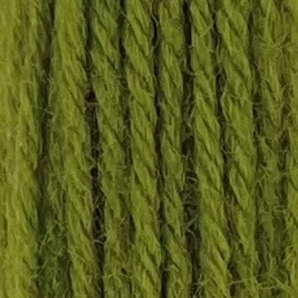 Tapestry Wool Hank - Grass Green 254