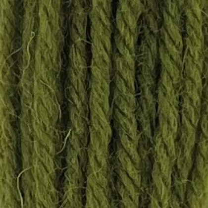 Crewel Wool - Grass Green 255