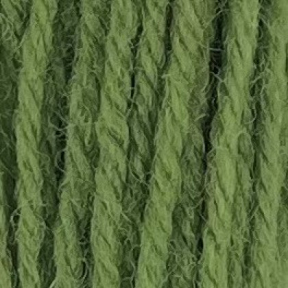 Tapestry Wool Hank - Sea Green 402