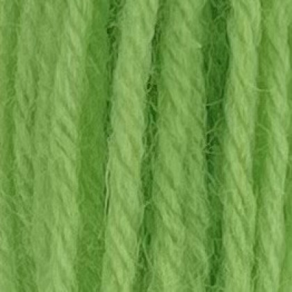 Tapestry Wool Hank - Leaf Green 422