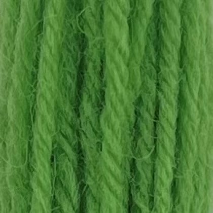 Tapestry Wool Hank - Leaf Green 424