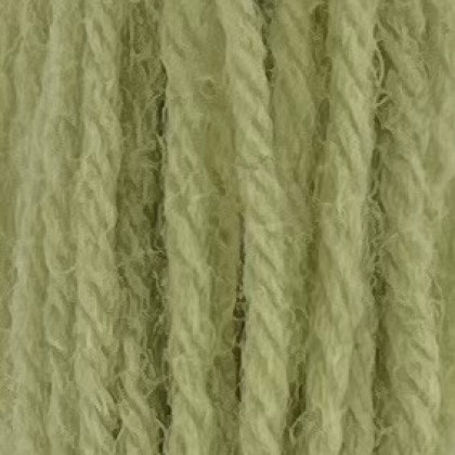 Tapestry Wool Hank - Early English Green 541