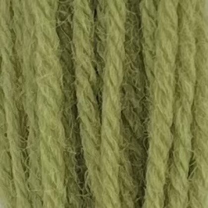 Tapestry Wool Hank - Early English Green 542