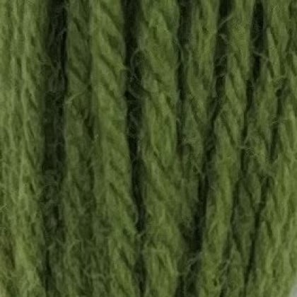 Tapestry Wool - Early English Green 546