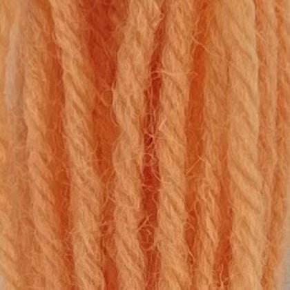Tapestry Wool Hank - Coral 861