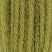 Tapestry Wool - Grass Green 251