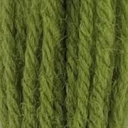 Tapestry Wool - Early English Green 544