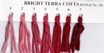 Crewel Wool Hank - Bright Terra Cotta 221