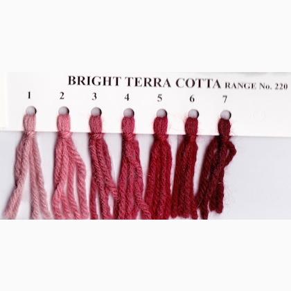 Crewel Wool Hank - Bright Terra Cotta 222