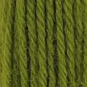 Crewel Wool Hank - Grass Green 254