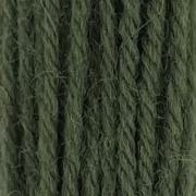 Tapestry Wool Hank - Jacobean Green 294