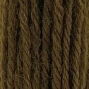 Tapestry Wool Hank - Brown Olive 316