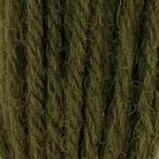 Tapestry Wool Hank - Mid Olive Green 346