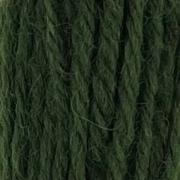 Tapestry Wool Hank - Sea Green 406