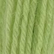 Crewel Wool - Leaf Green 421