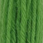 Tapestry Wool Hank - Leaf Green 424