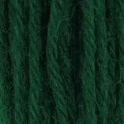 Tapestry Wool Hank - Signal Green 438