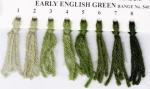 Crewel Wool - Early English Green 541