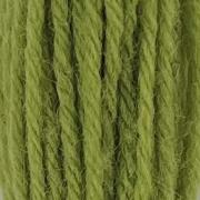 Tapestry Wool Hank - Early English Green 543