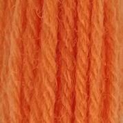 Crewel Wool - Coral 862