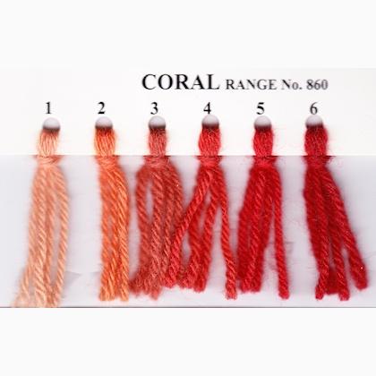 Tapestry Wool Hank - Coral 863