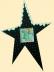 Passepartout - Christmas Star - 27x20cm