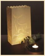 Lanterns Elk (10)