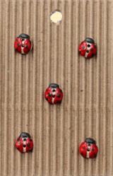 Incomparable Buttons Incomparable Buttons