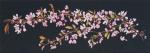 Japanese Blossom - Black