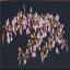 Japanese Blossom - Black