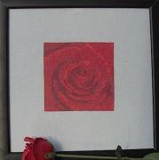Bocciolo Rosa Rossa