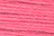 RT32 - Rainbow Tweed Rose