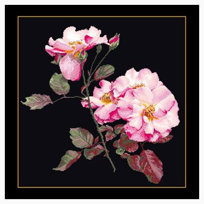 Rosa Leersum - Black