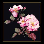 Rosa Leersum - Black